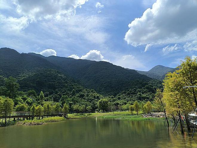 央企破净股的关注度与市场前景